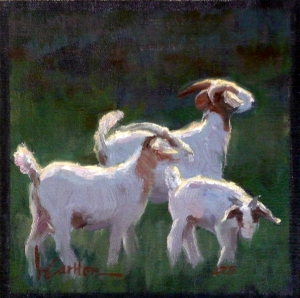 Goats Gruff